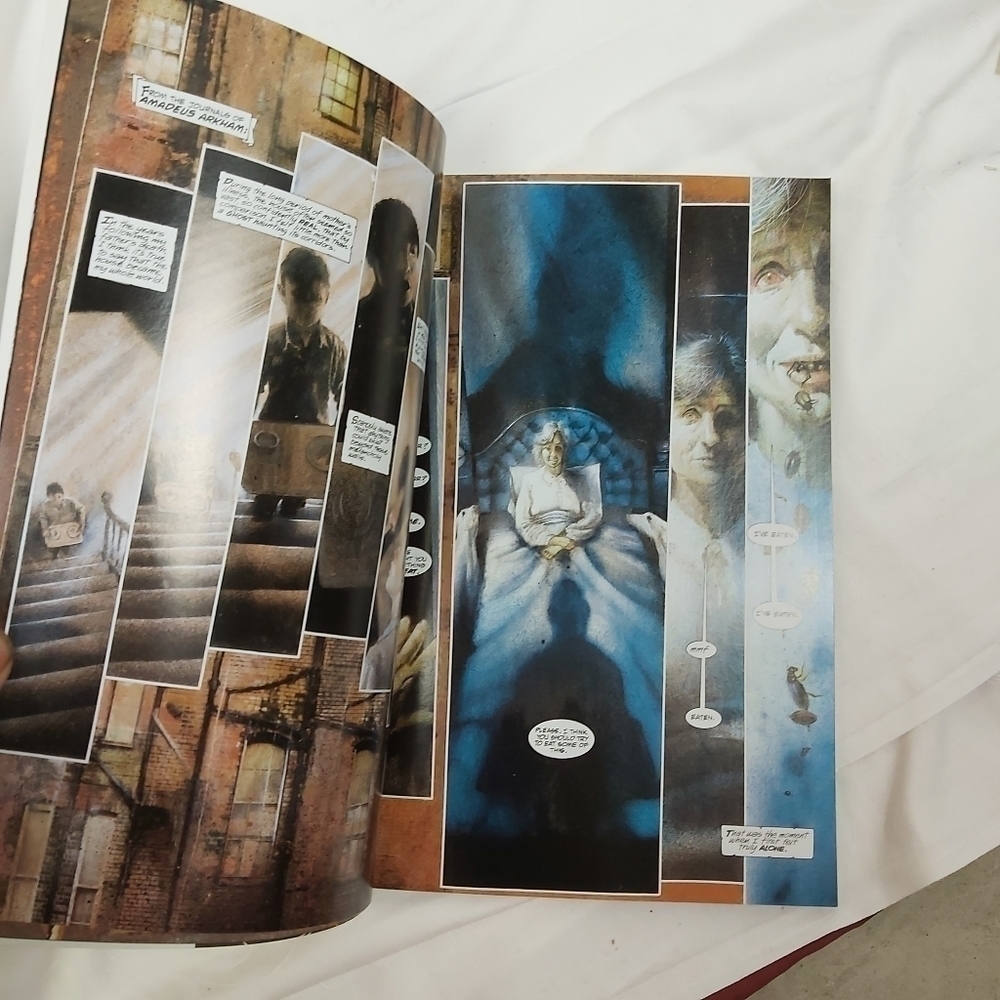 BATMAN: Arkham AsylumComic - Picture 4 of 4